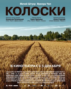 колоски фильм 2012 смотреть онлайн бесплатно