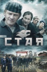 стая сериал смотреть онлайн бесплатно в хорошем качестве все серии подряд без рекламы