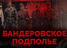 Бандеровское подполье. Охота на Барсука смотреть документальный фильм в хорошем качестве